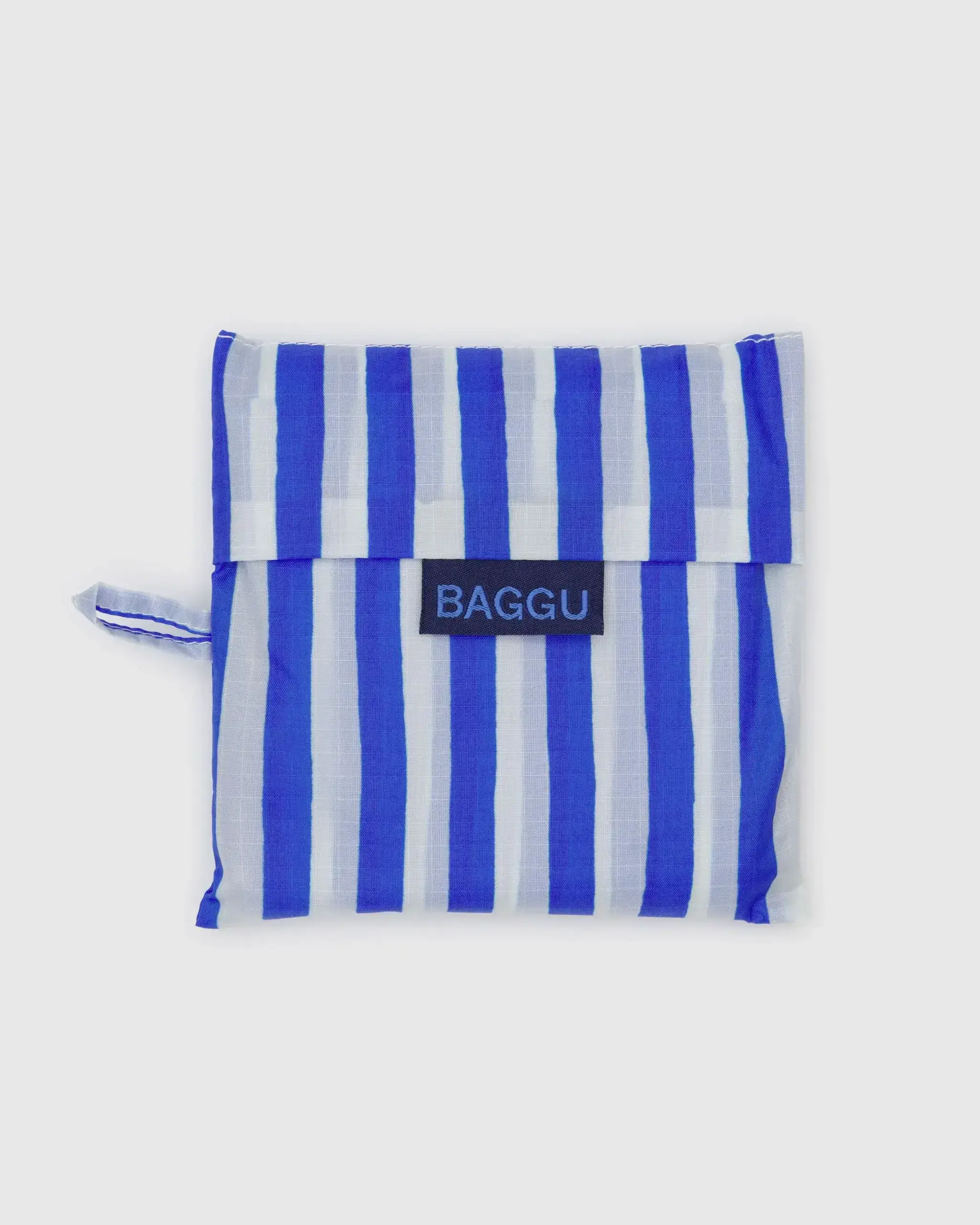 Standard Baggu Blue Painted Stripe - Image 4